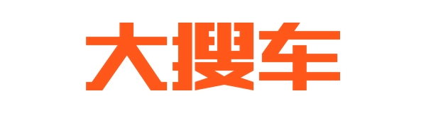 大搜车标识